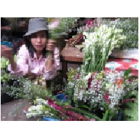 flowe seller,cambodia.JPG